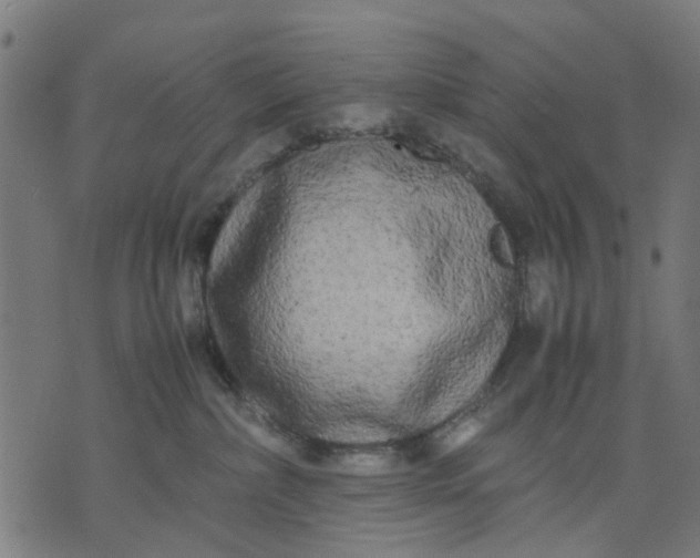 X0000070390236200606231745