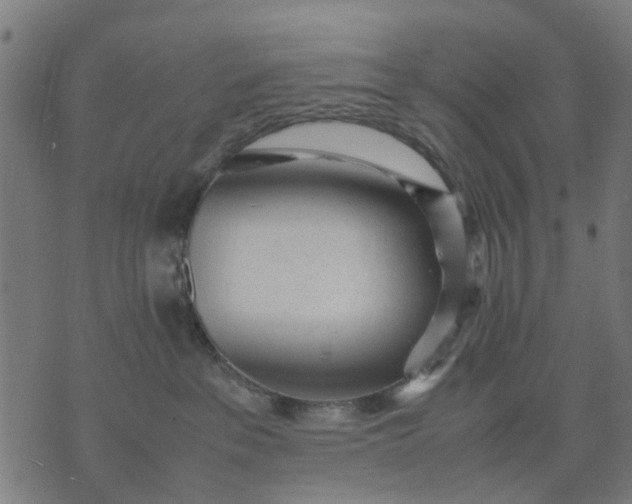 X0000070390237200606231745