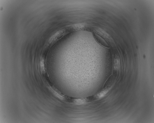 X0000070390238200606231745