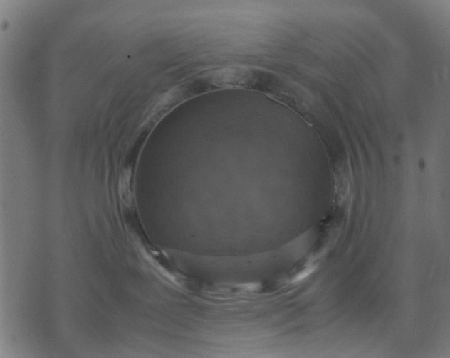 X0000070390239200606231745