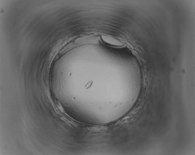 X0000070390241200606231744