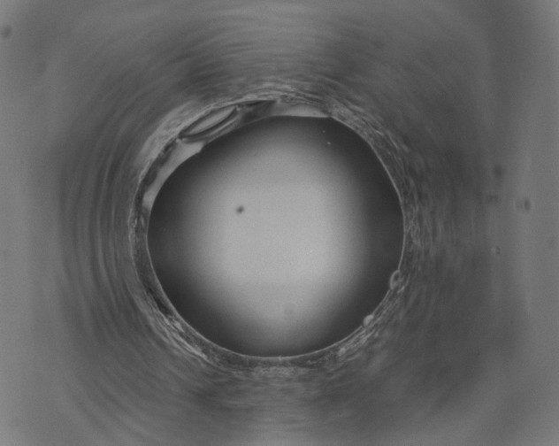 X0000070390242200606231744