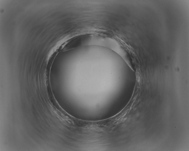 X0000070390244200606231744