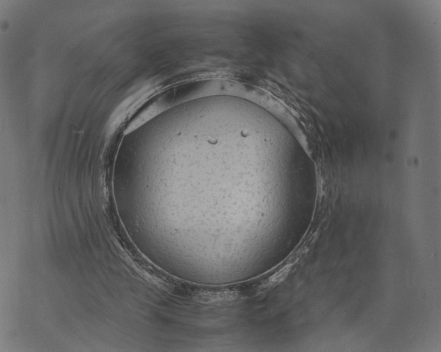 X0000070390245200606231744