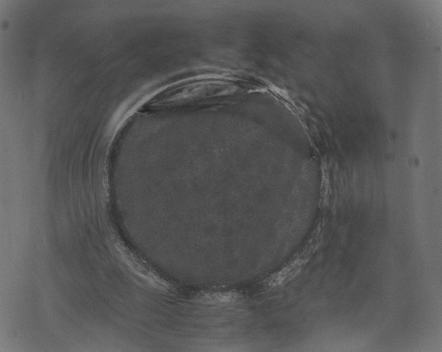 X0000070390247200606231744