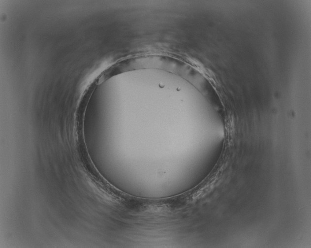 X0000070390248200606231744