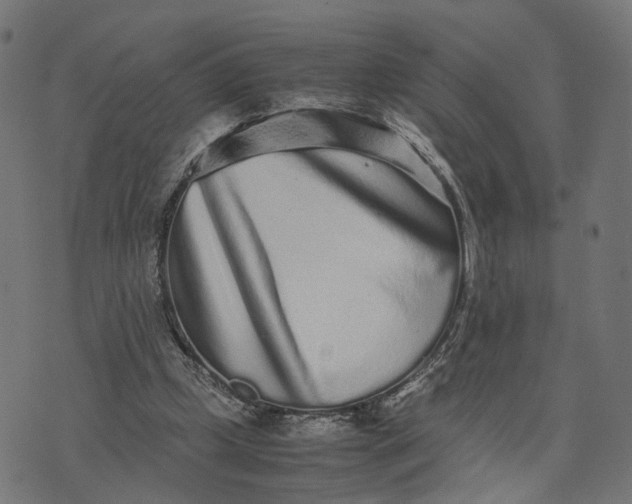 X0000070390249200606231744