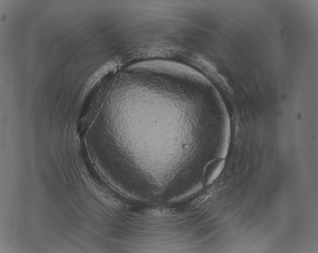 X0000070390250200606231744