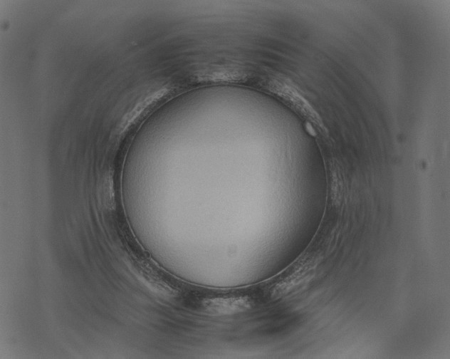 X0000070390251200606231744