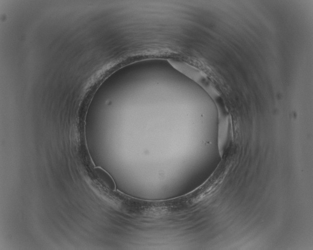 X0000070390252200606231744