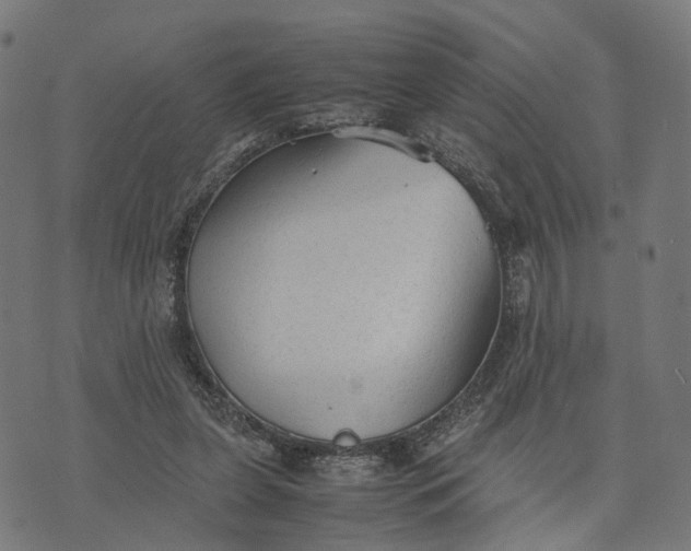 X0000070390255200606231745