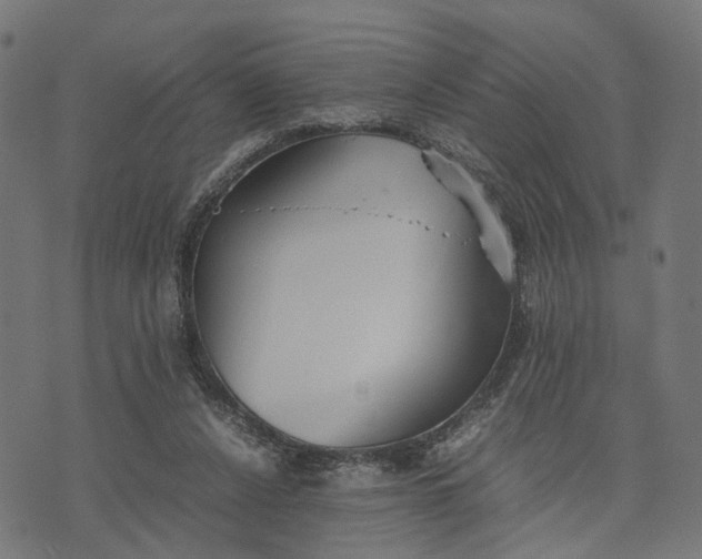 X0000070390256200606231745