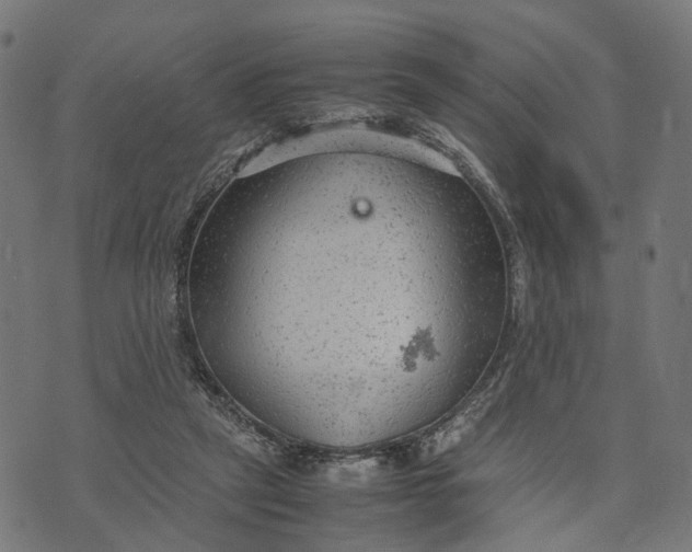 X0000070390257200606231745