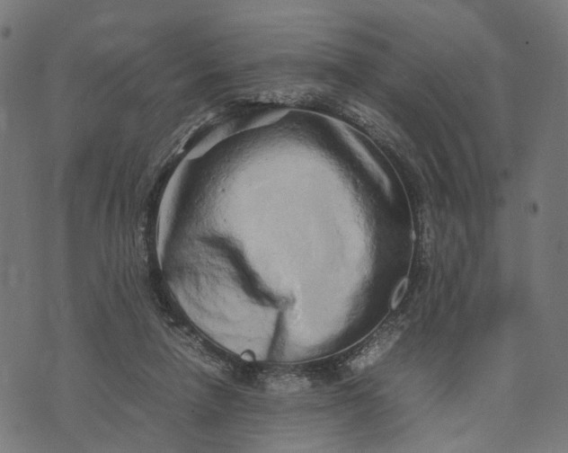 X0000070390258200606231745