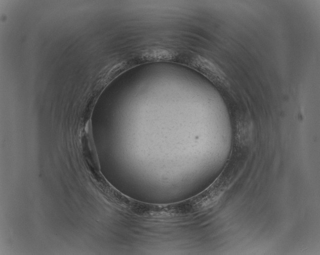 X0000070390259200606231745