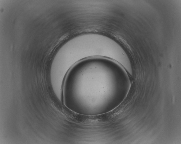 X0000070390260200606231745