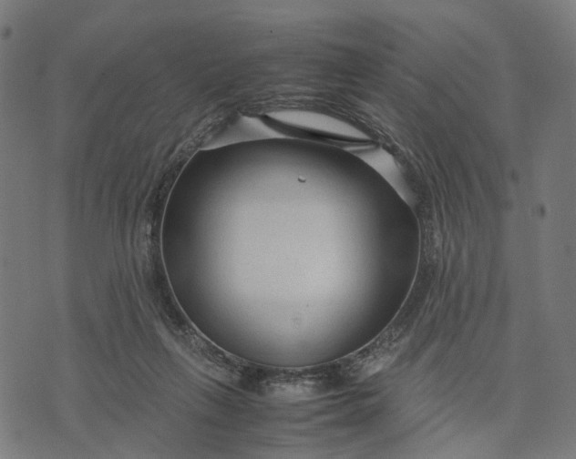 X0000070390263200606231745