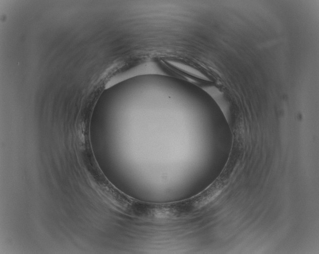 X0000070390264200606231745