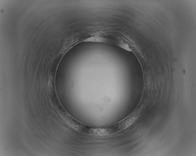 X0000070390265200606231745