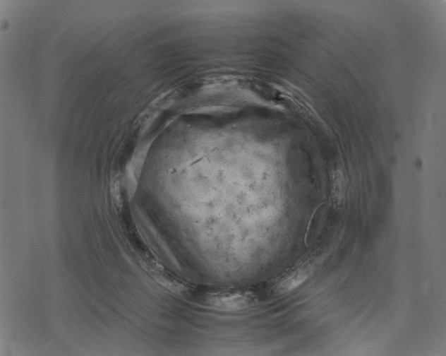 X0000070390267200606231745