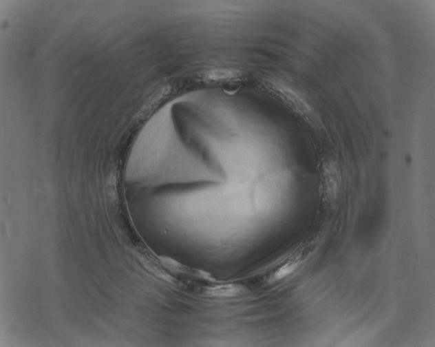 X0000070390269200606231745