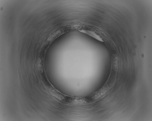 X0000070390270200606231745