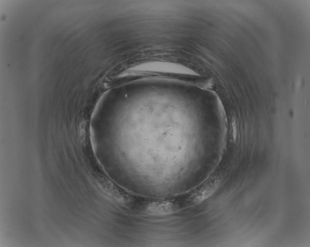 X0000070390271200606231745