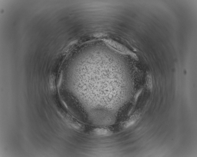 X0000070390272200606231745