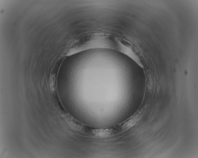 X0000070390273200606231745