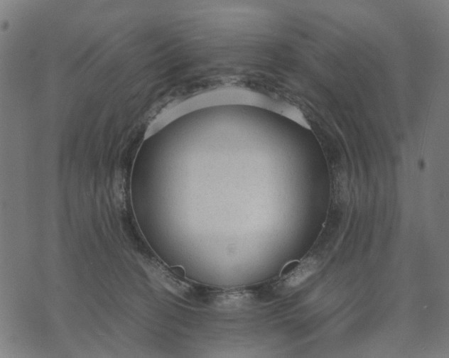 X0000070390274200606231745