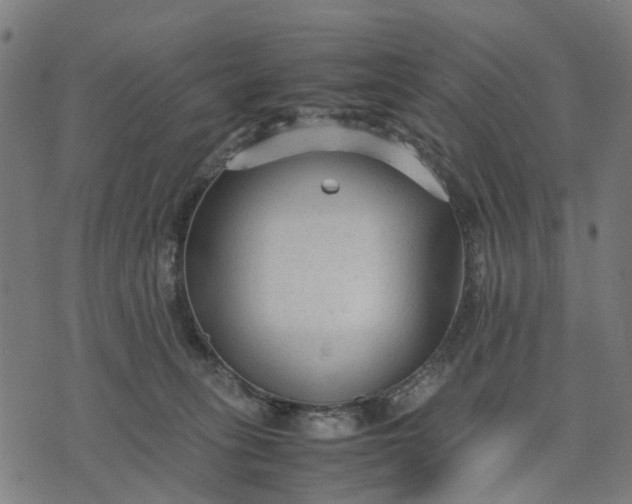 X0000070390275200606231745