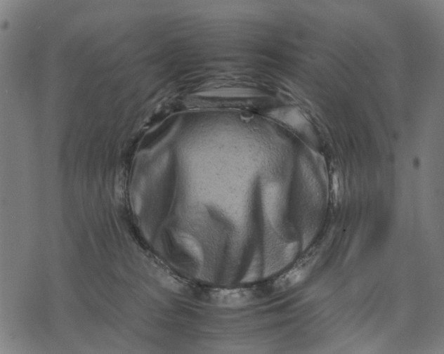 X0000070390277200606231745