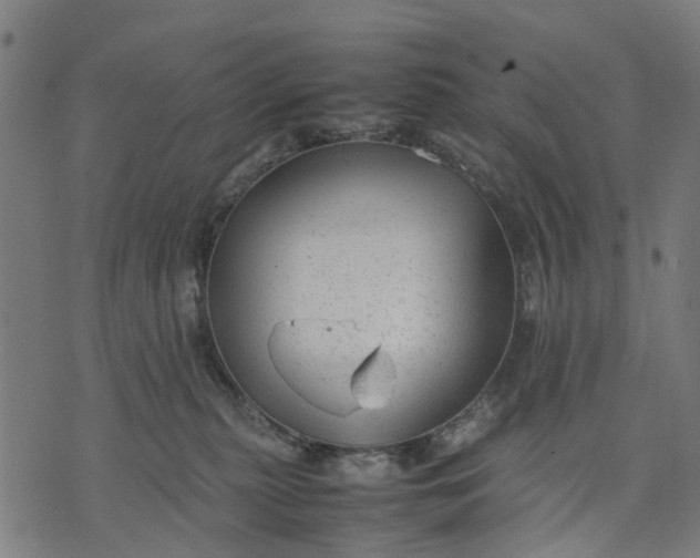 X0000070390279200606231745