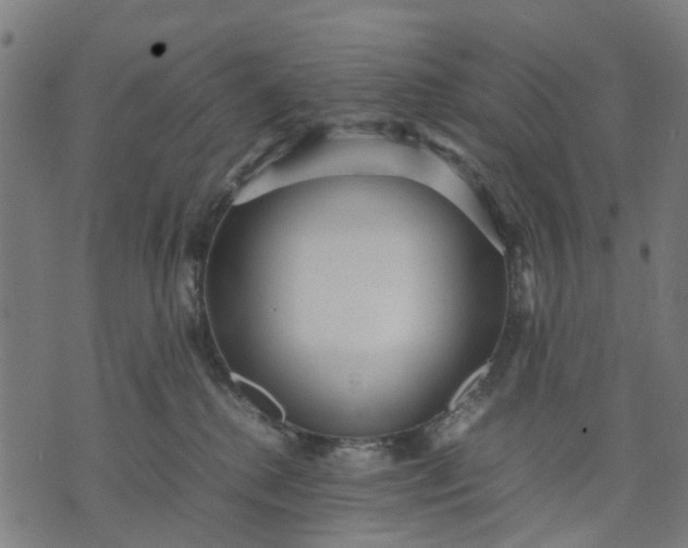 X0000070390280200606231745