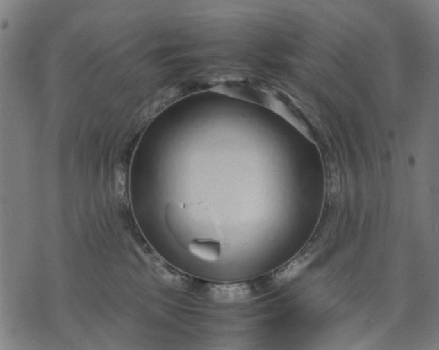 X0000070390281200606231745