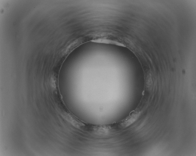 X0000070390282200606231745