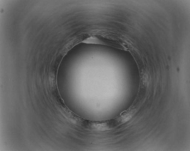 X0000070390283200606231745