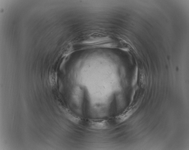 X0000070390285200606231745