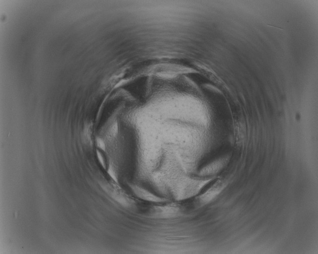 X0000070390286200606231745