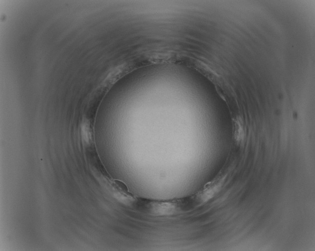 X0000070390287200606231745