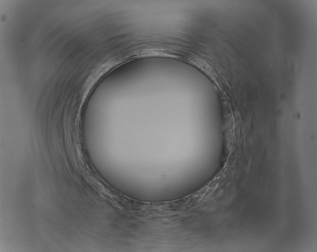 X0000070390289200606231744