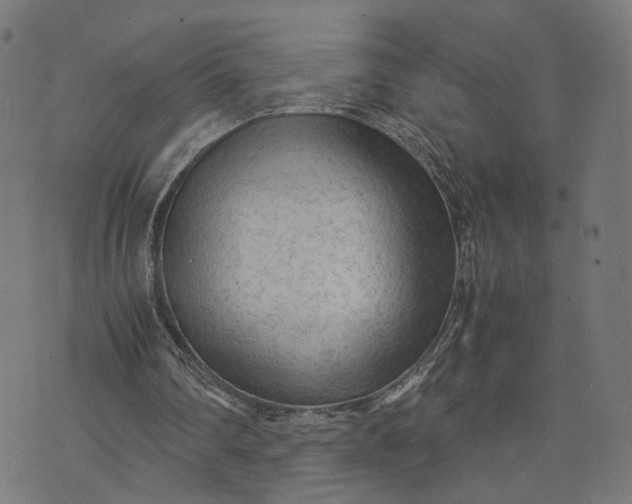 X0000070390290200606231744