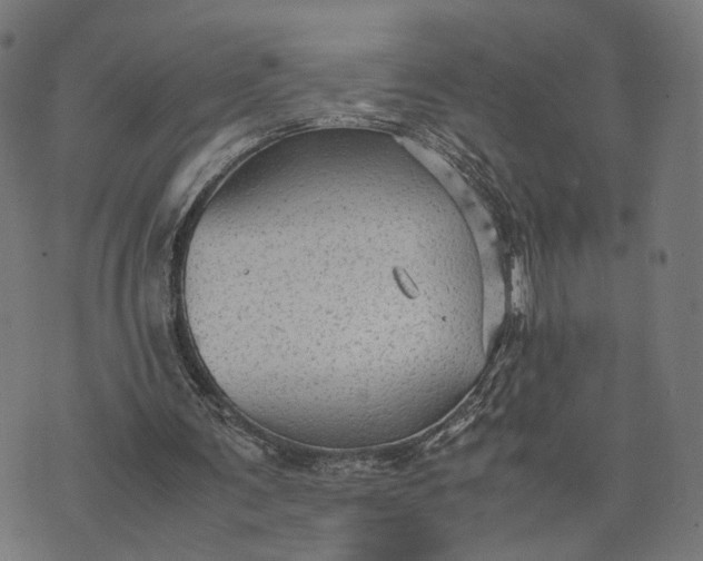 X0000070390291200606231744