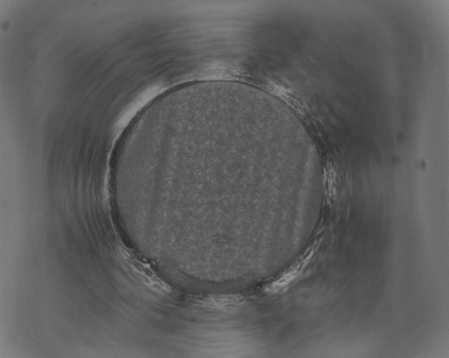 X0000070390292200606231744