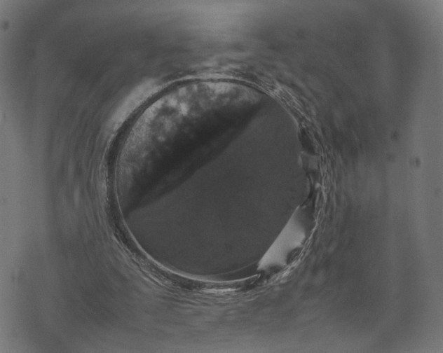 X0000070390295200606231744