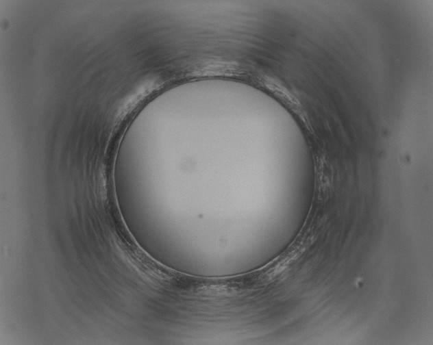 X0000070390298200606231744