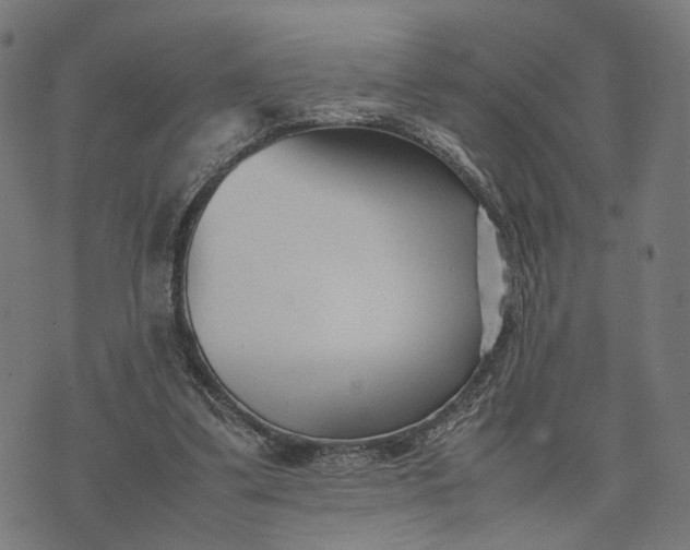 X0000070390299200606231744