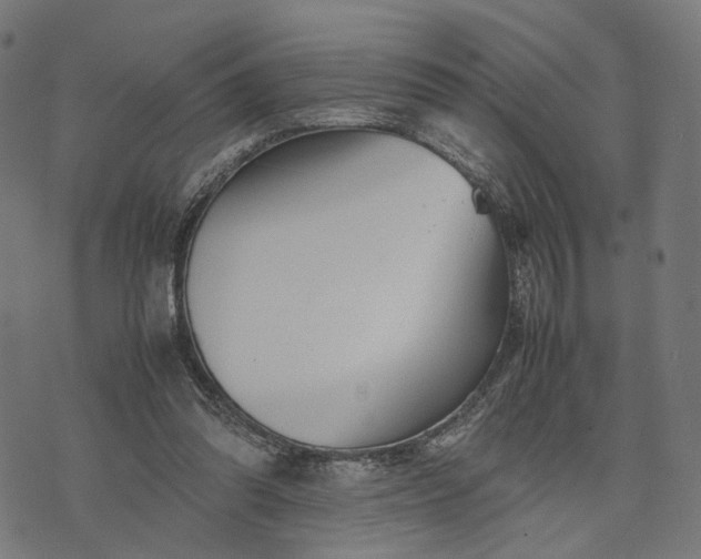 X0000070390302200606231744