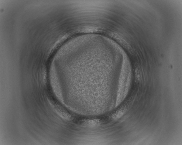 X0000070390304200606231744