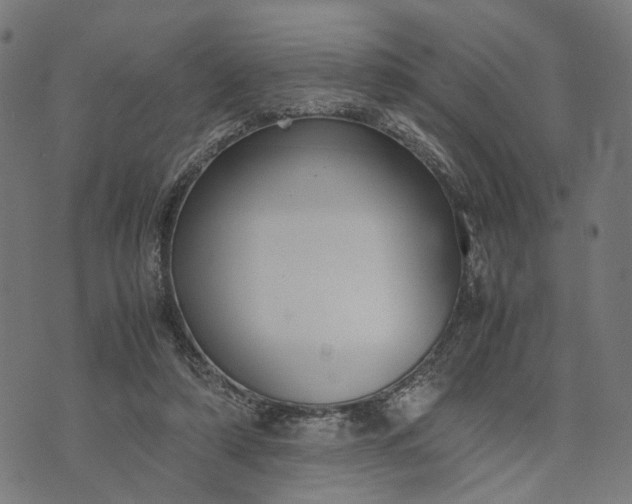 X0000070390306200606231744